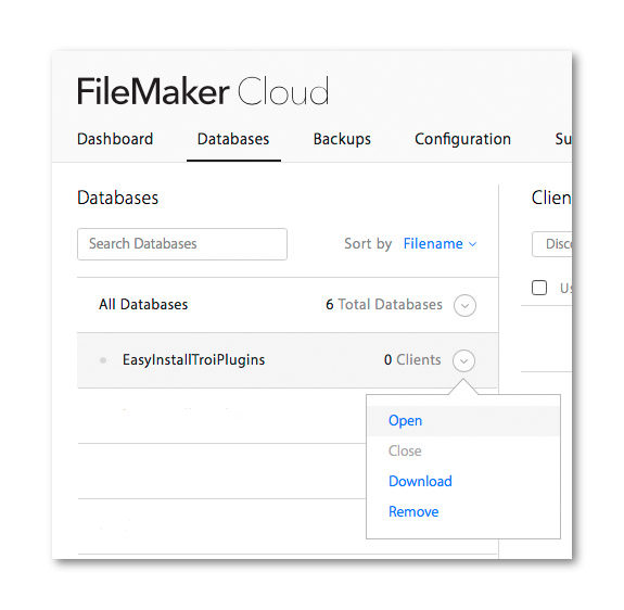 FileMaker Cloud dashboard: databases: open database